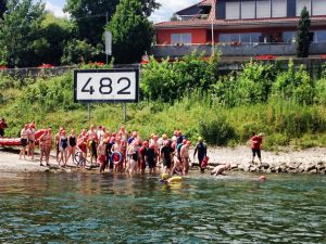 Rheinschwimmen Start 2014